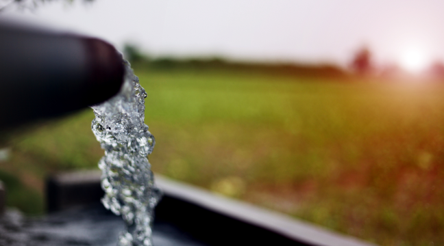 Latest News Story Headline Goes Right Here